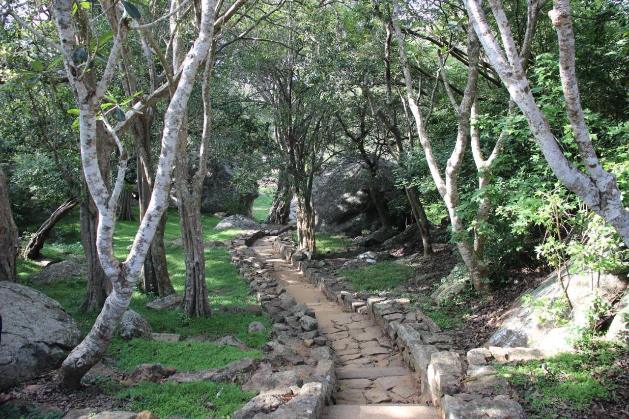 Miheen Hotel & Resort - Anuradhapura Mihintale Dış mekan fotoğraf