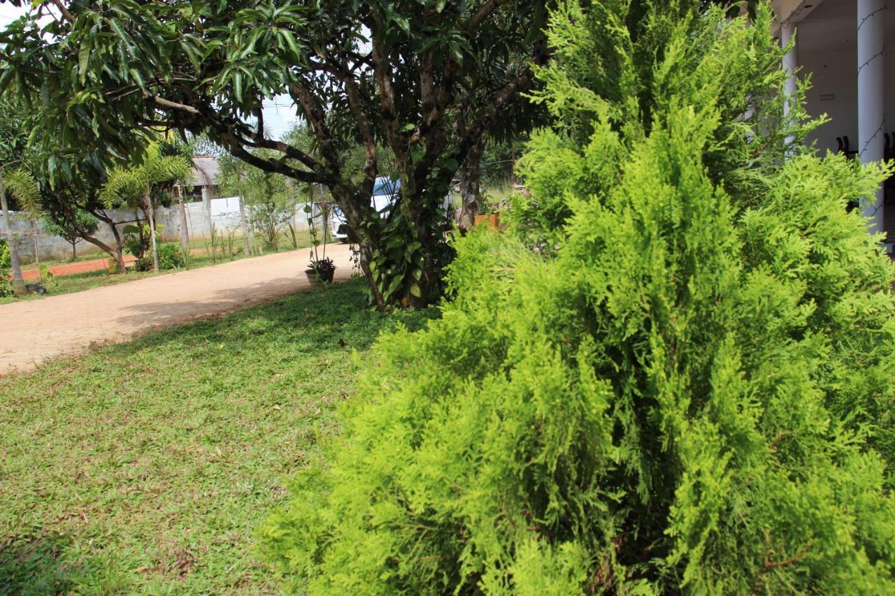 Miheen Hotel & Resort - Anuradhapura Mihintale Dış mekan fotoğraf