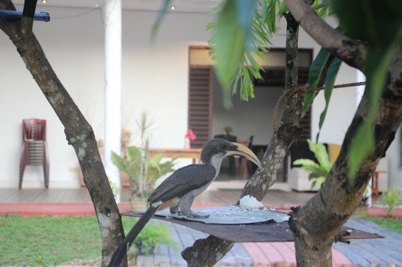 Miheen Hotel & Resort - Anuradhapura Mihintale Dış mekan fotoğraf